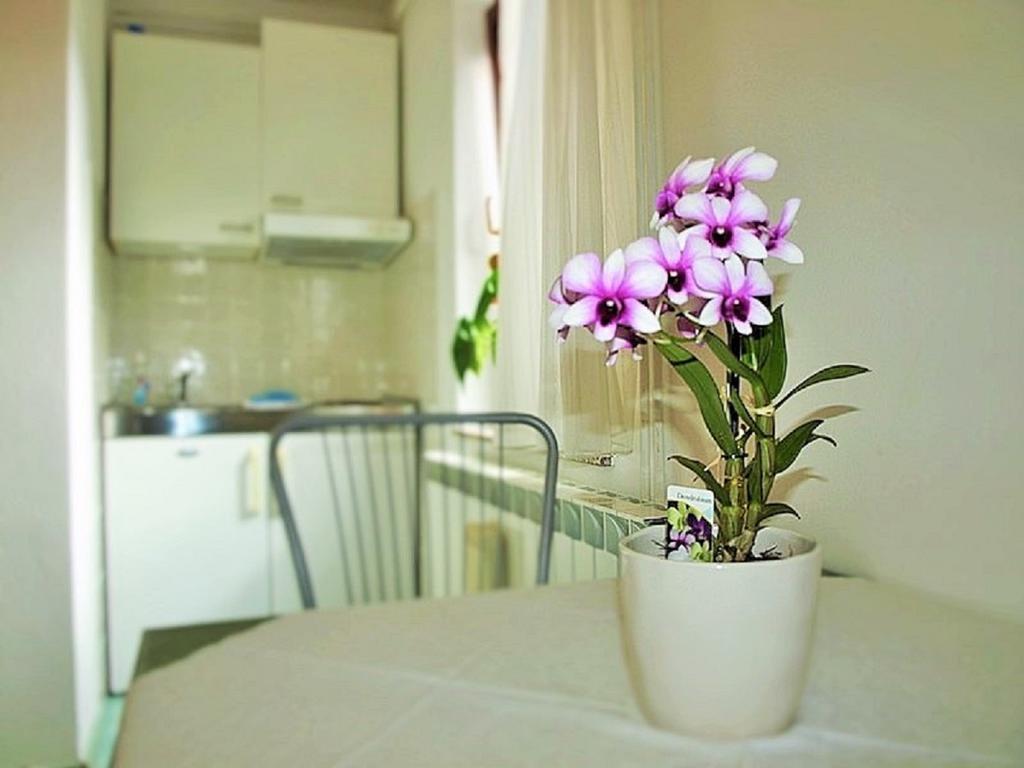 Apartment Koric Ičići المظهر الخارجي الصورة